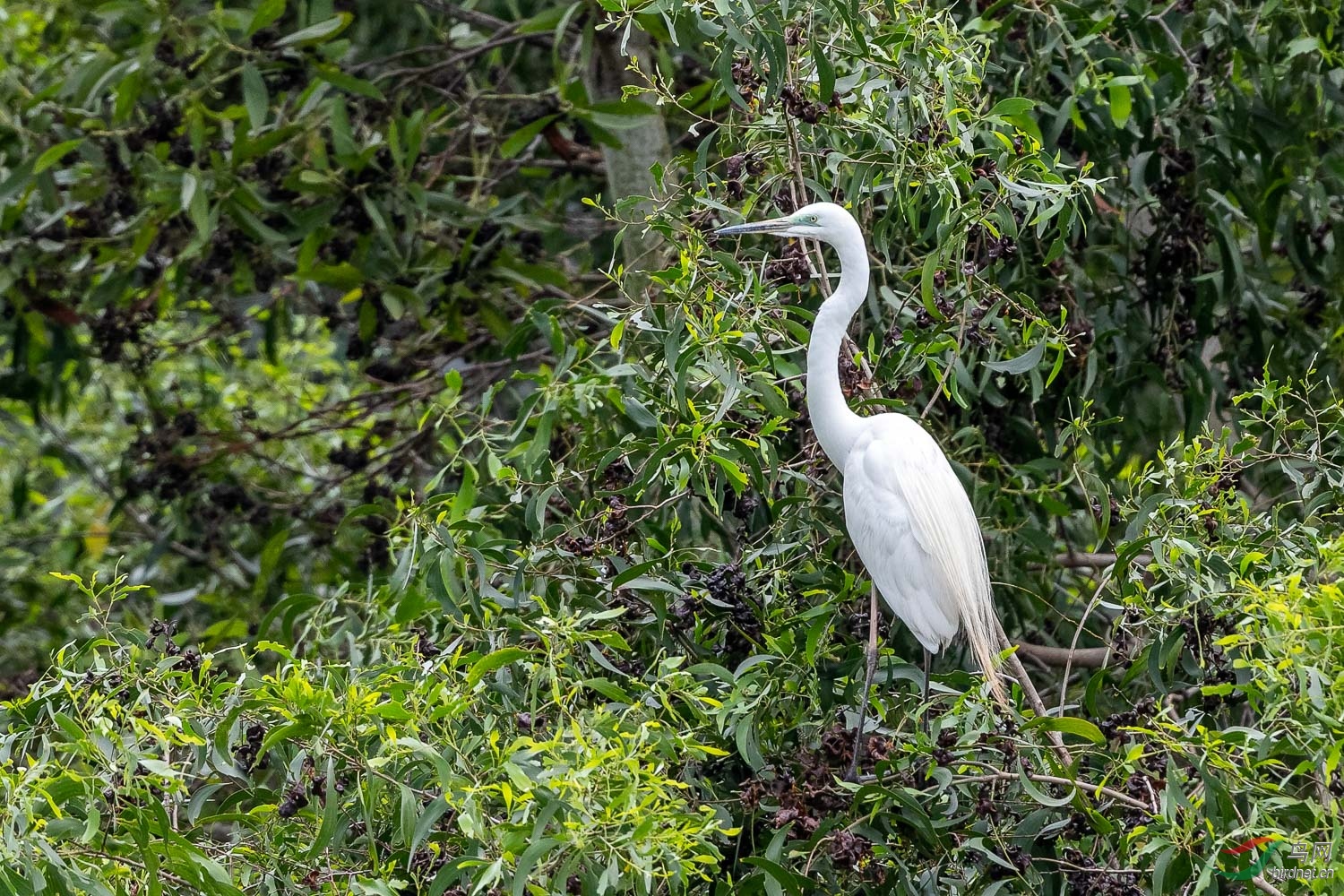 IMG_0037_DxO.jpg