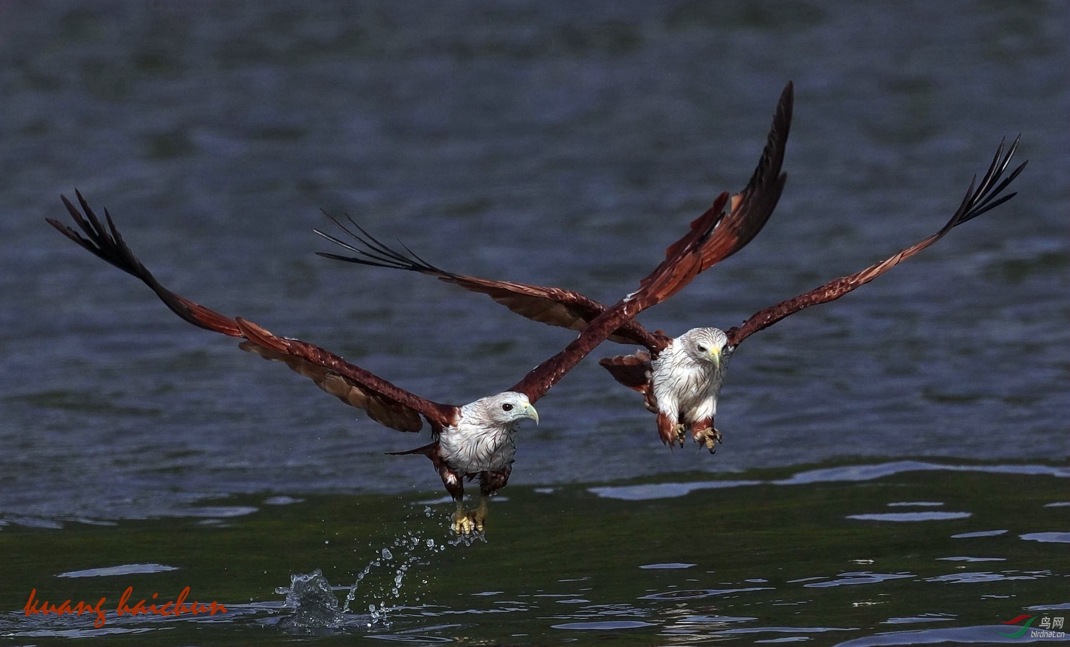 A05I7880_����_���� - ����.jpg