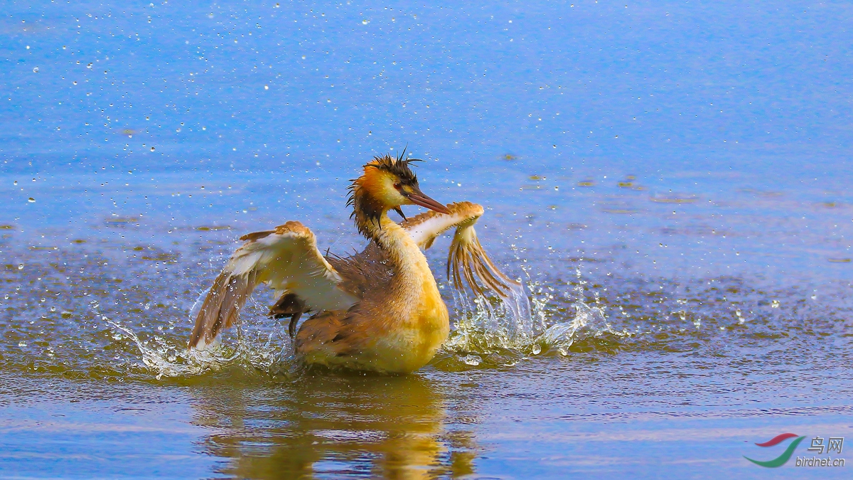 Ϸˮ�ķ�ͷ����