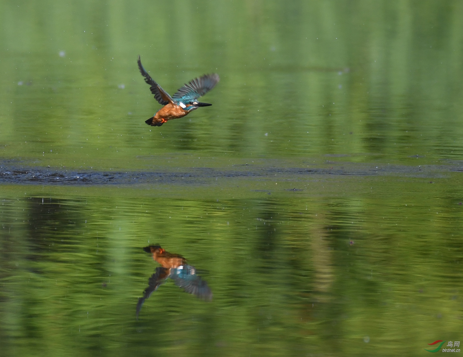 ������Ӱ 6640����.jpg