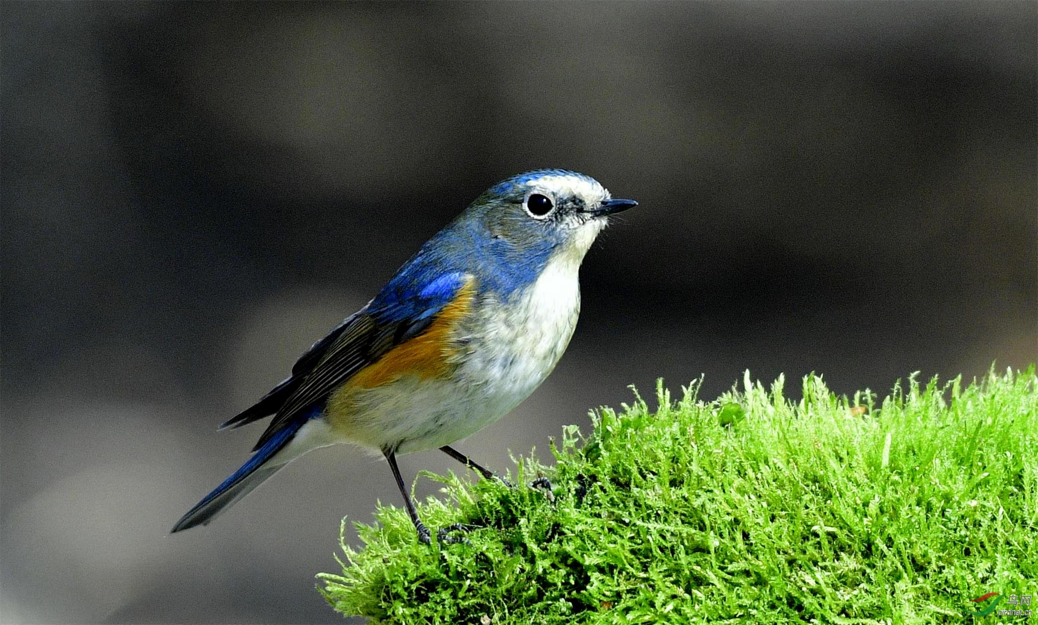 _DSC1204_���� (2).jpg