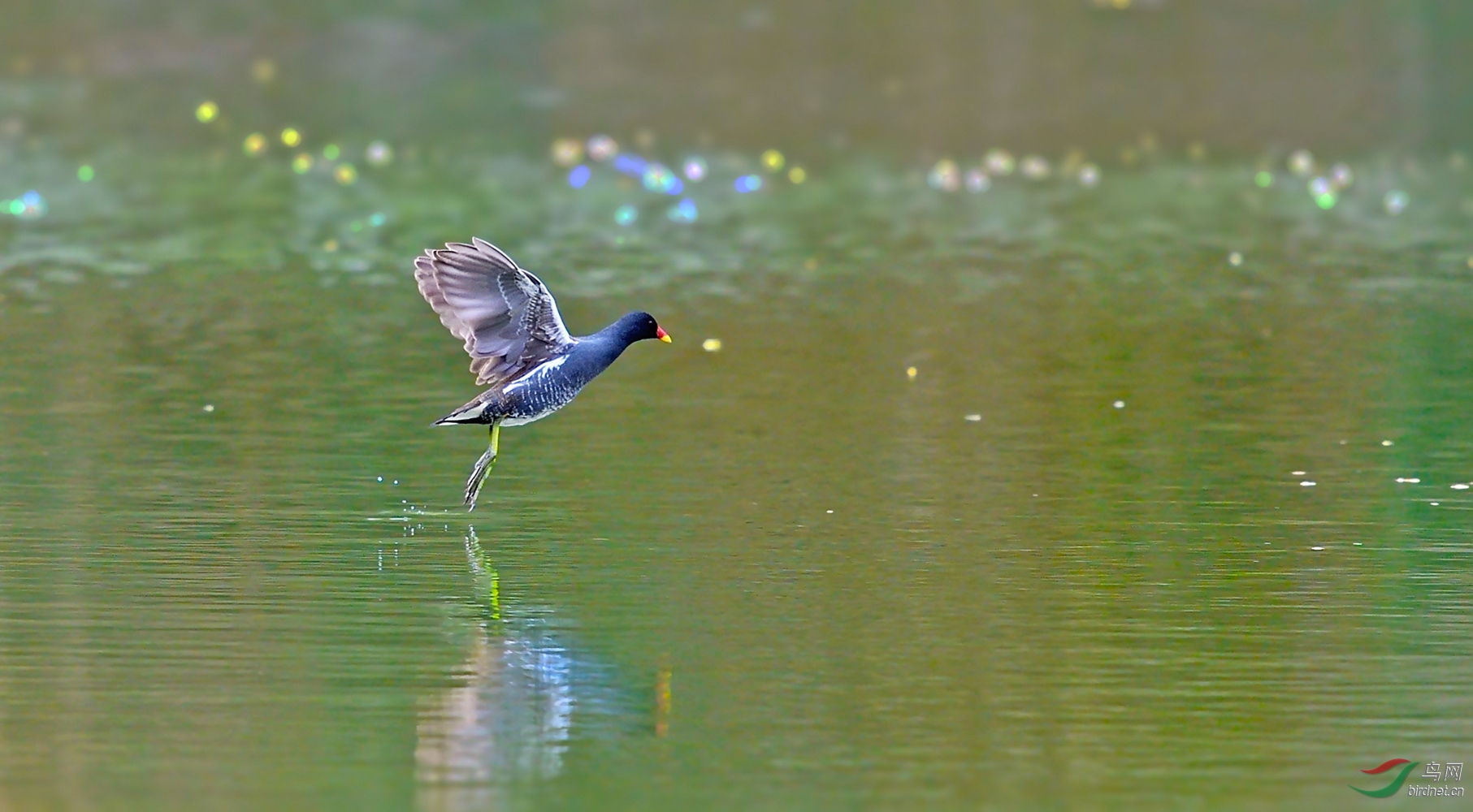 DSC_5809_����.jpg