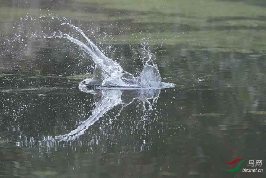 20180224-DSC00968-14 - ����.JPG