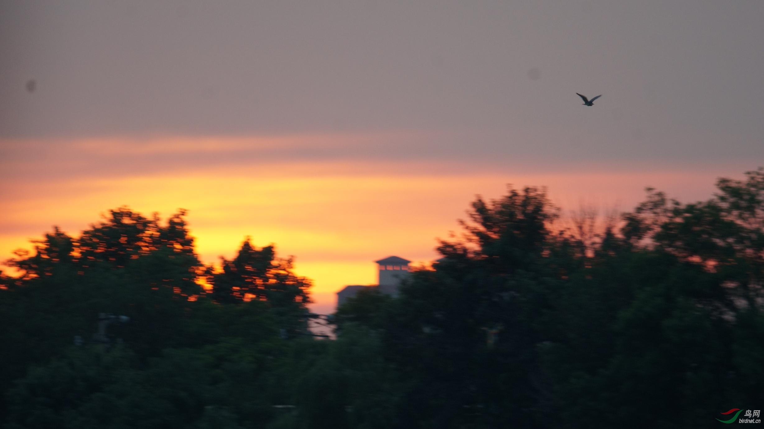 Ϧ������