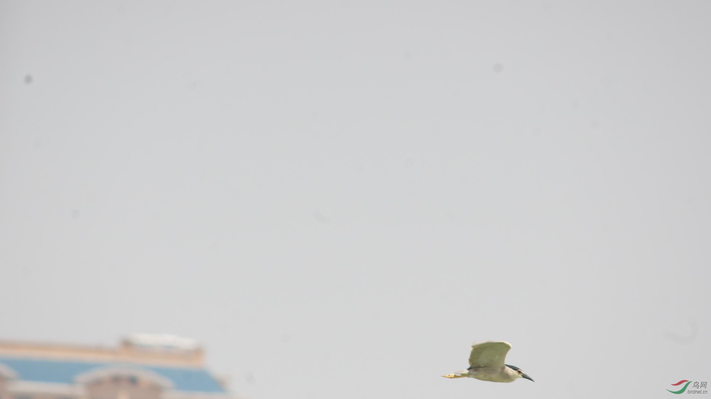 ����һ��