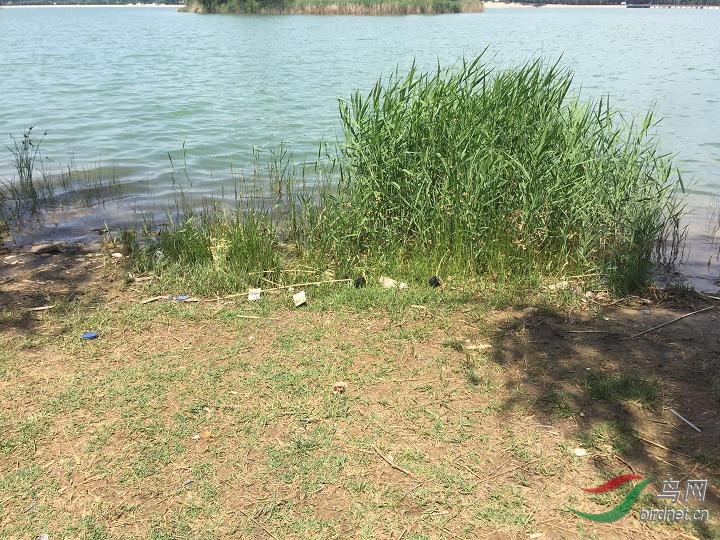 ���ߵ�����