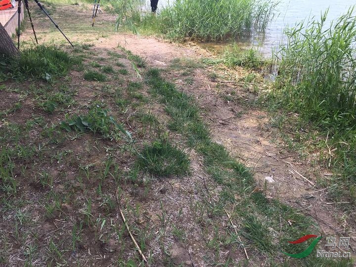 �ɾ��ˣ�����Ҳ����