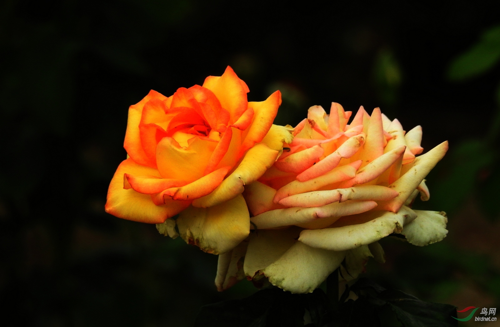 DSCN2503.JPG