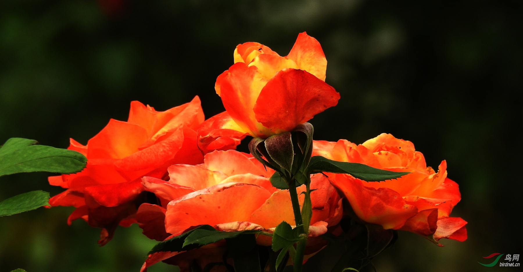 DSCN2510.JPG
