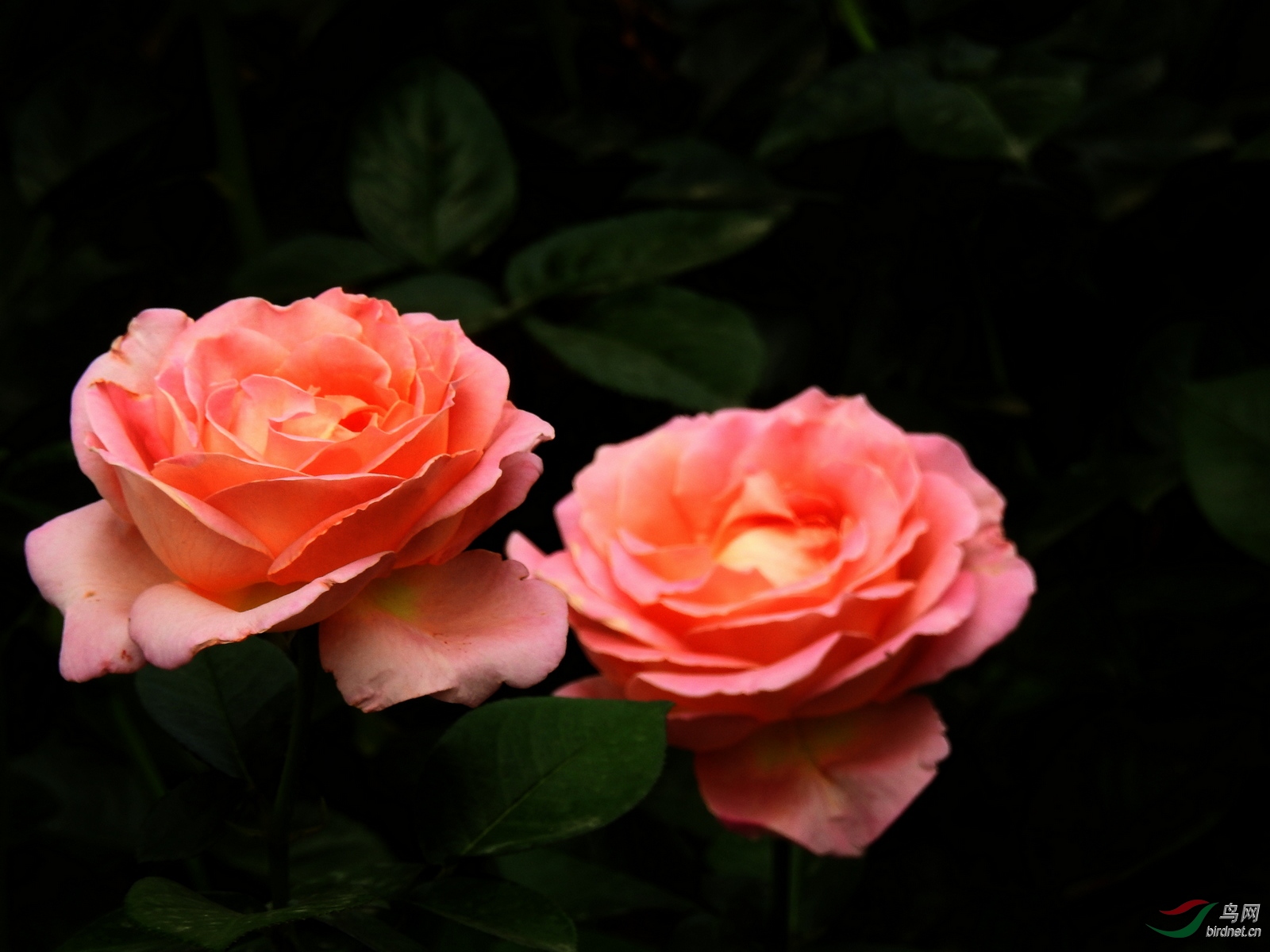 DSCN2524.JPG