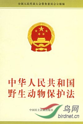 203fb80e7bec54e7c70da06ab9389b504ec26ae5.jpg