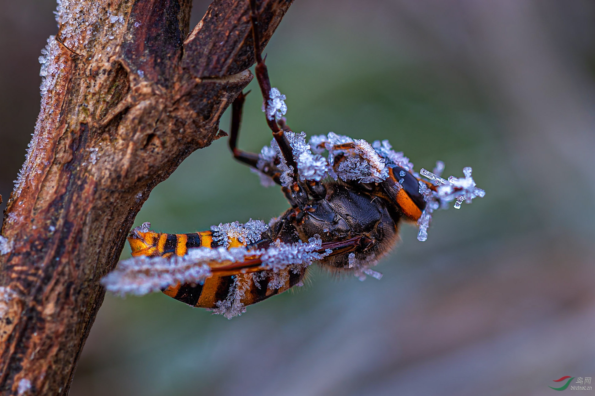 _G3A2171-2-1.jpg