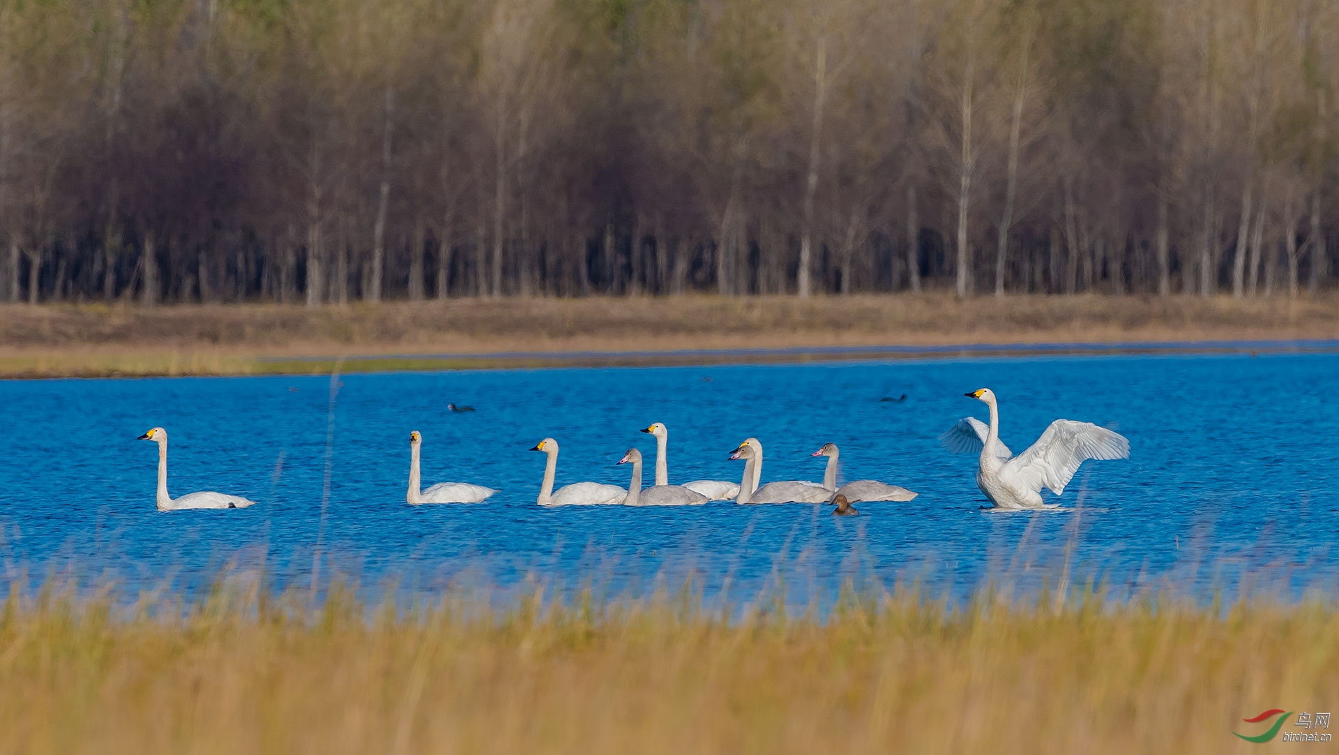 _DSC1694.jpg