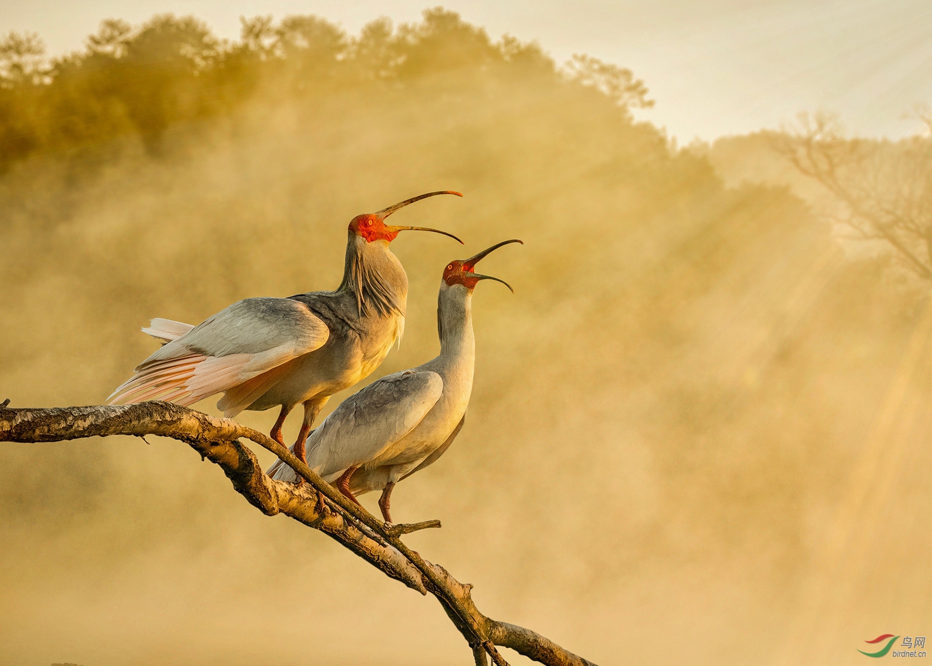 ͬһ�׸� (1).jpg