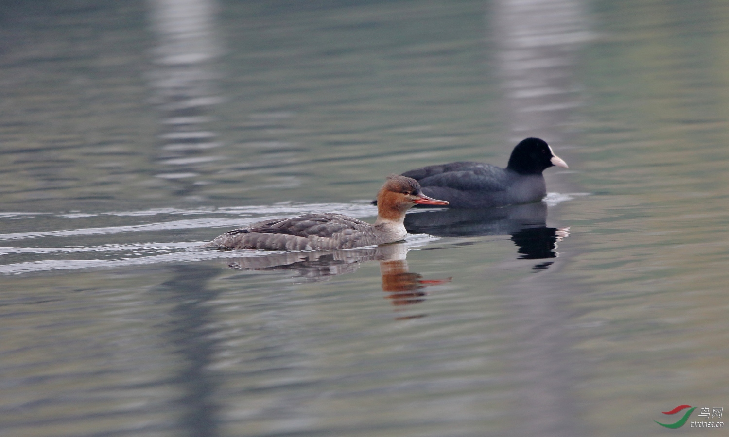IMG_1754.JPG