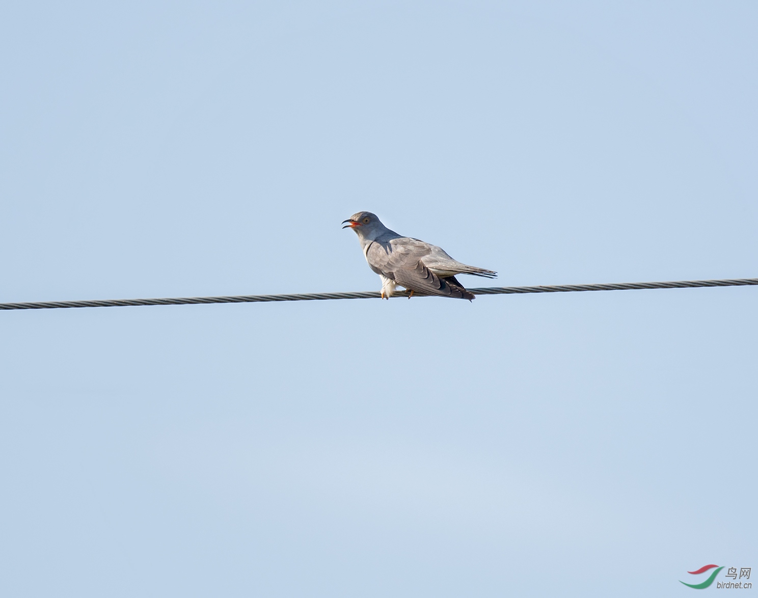 DSC_5746.jpg