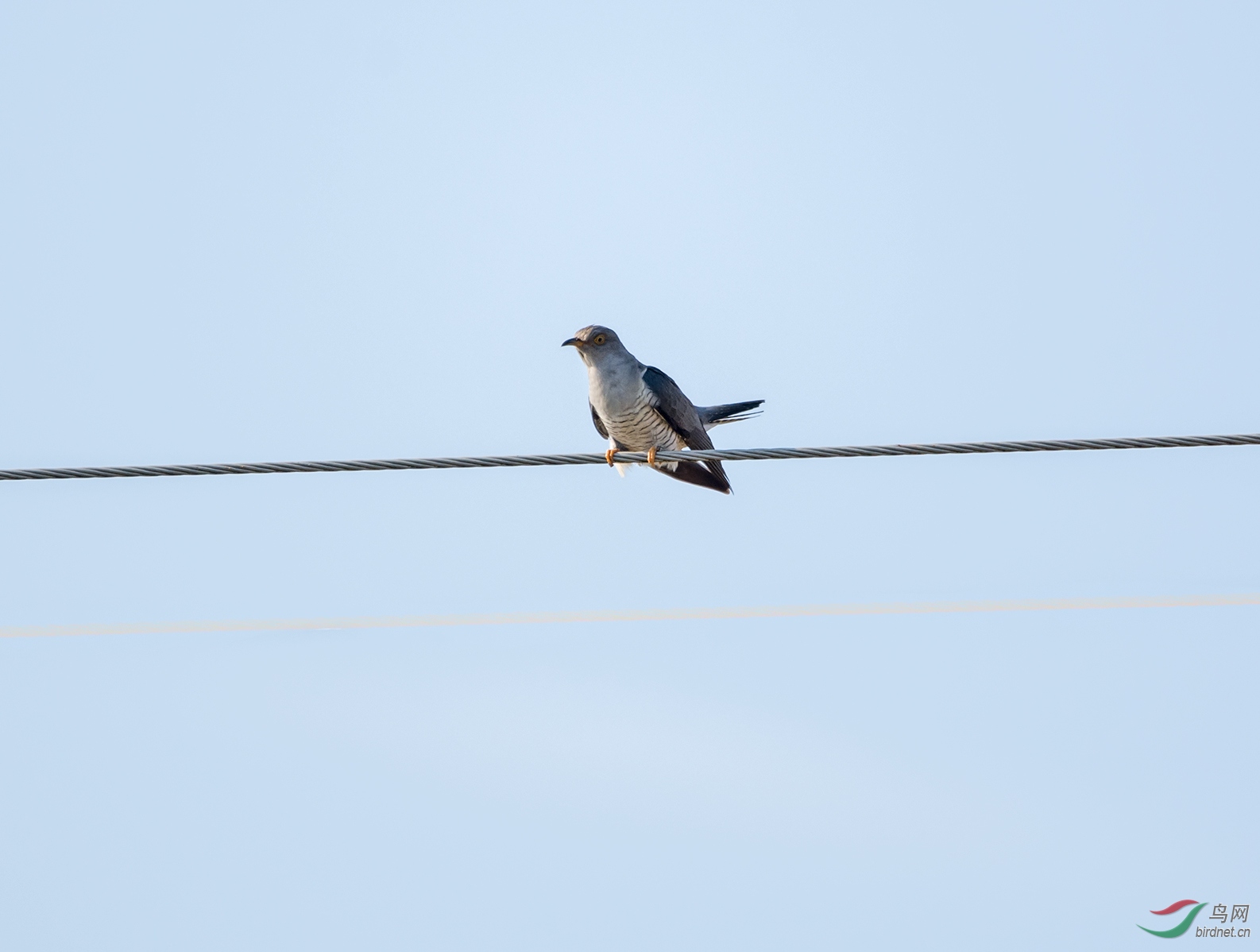 DSC_5748.jpg