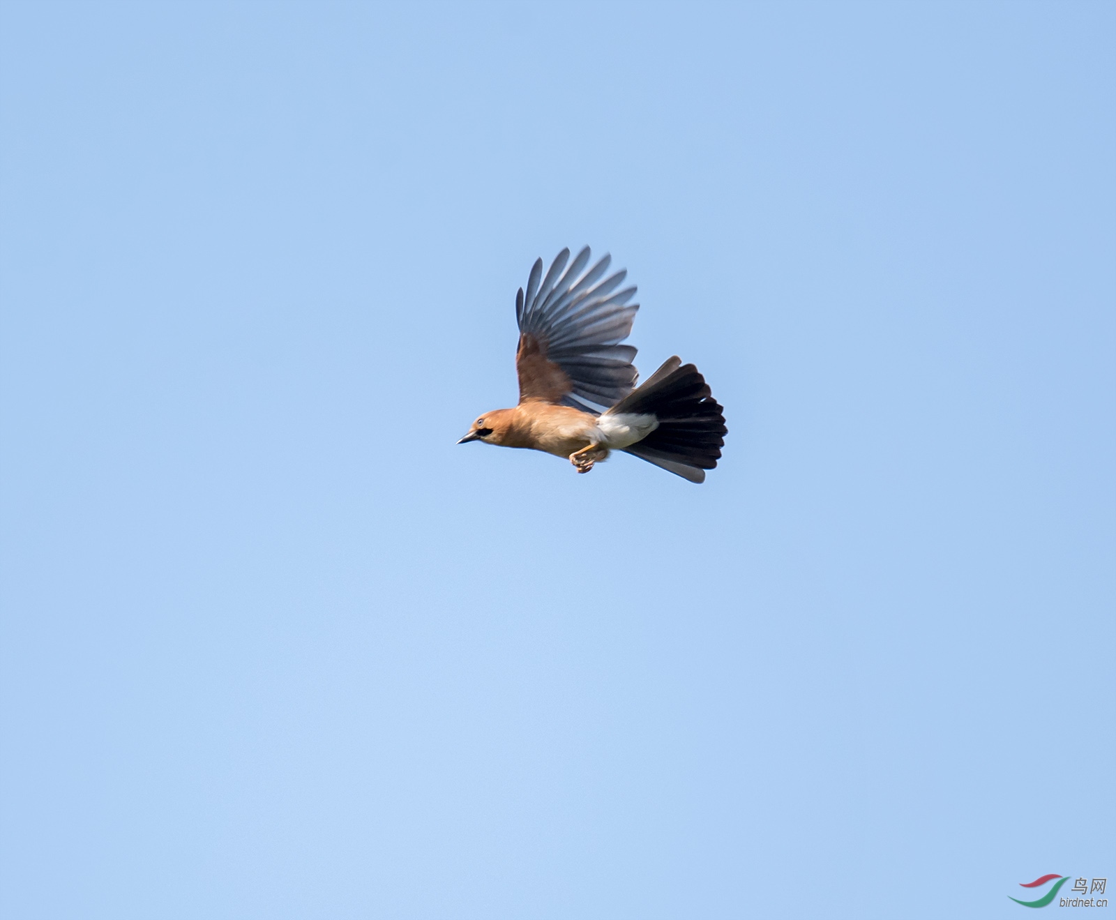 DSC_5774.jpg