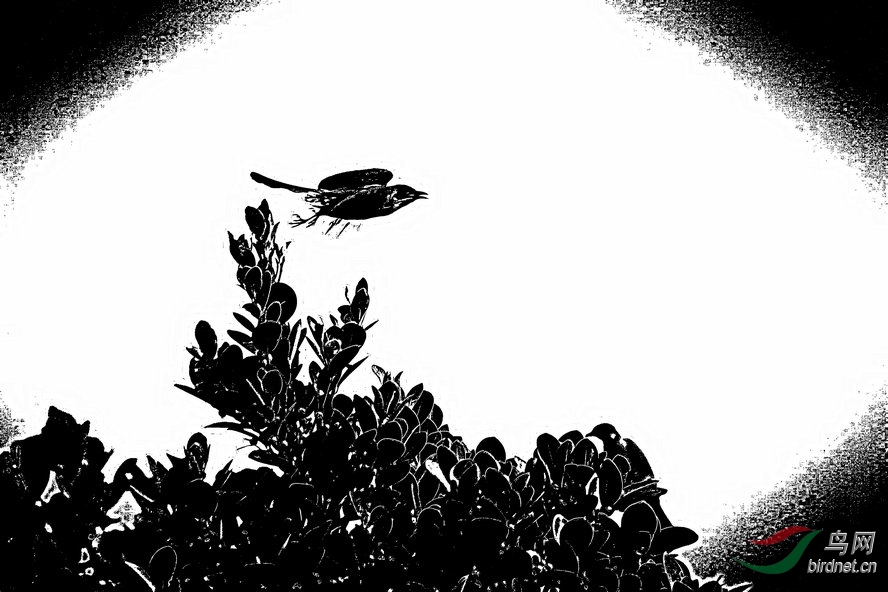 AQ1I0741_����_����1_����1_����1_����.jpg