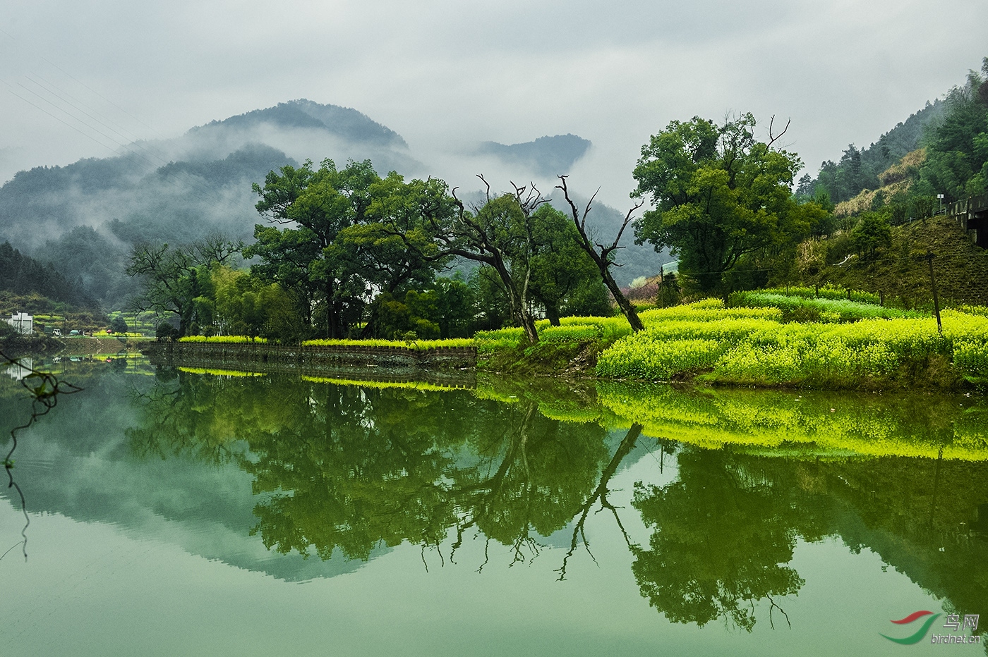 绿水青山