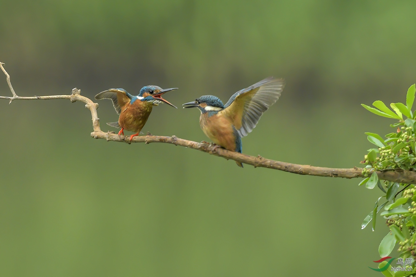 DSC_3062-2.jpg