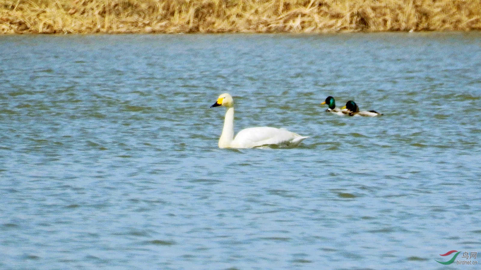 DSCN1615.JPG