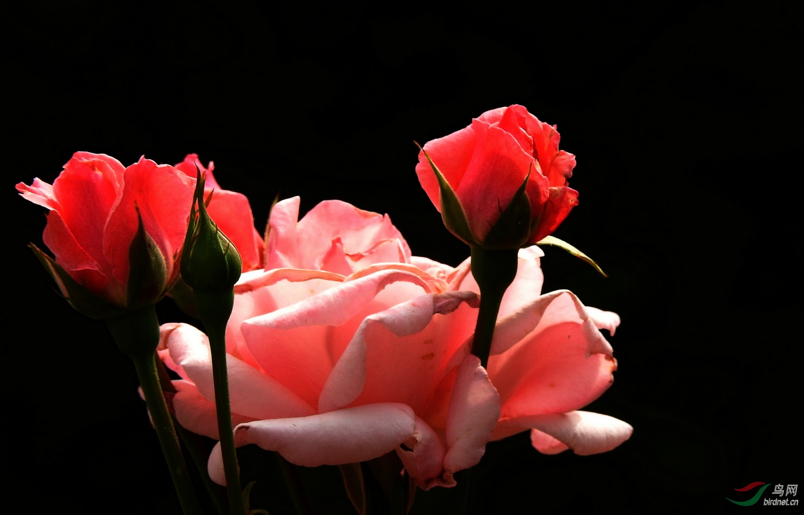 DSCN2736.JPG
