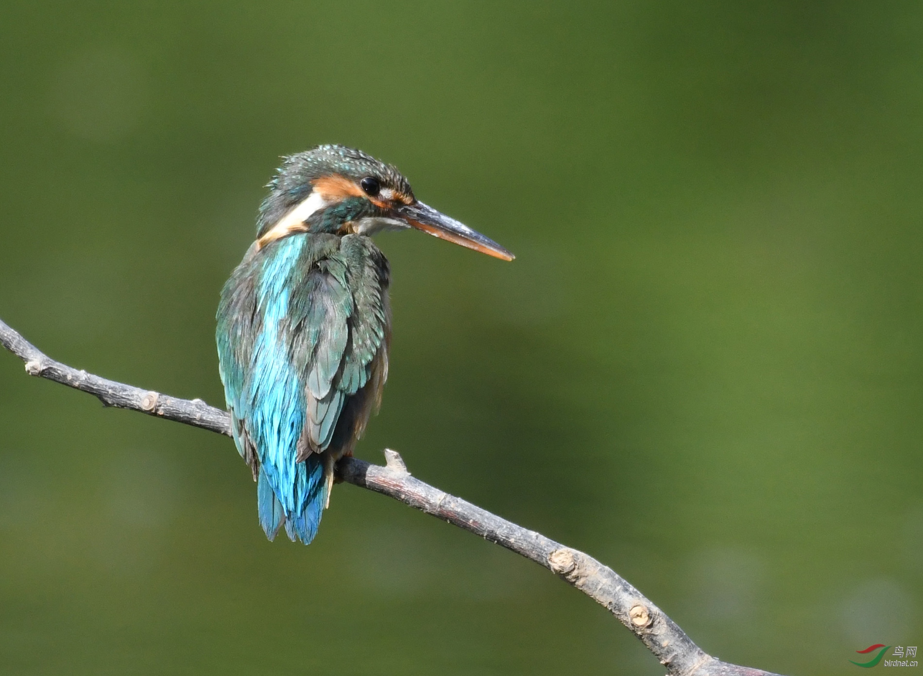 ������Ӱ 7300����.jpg