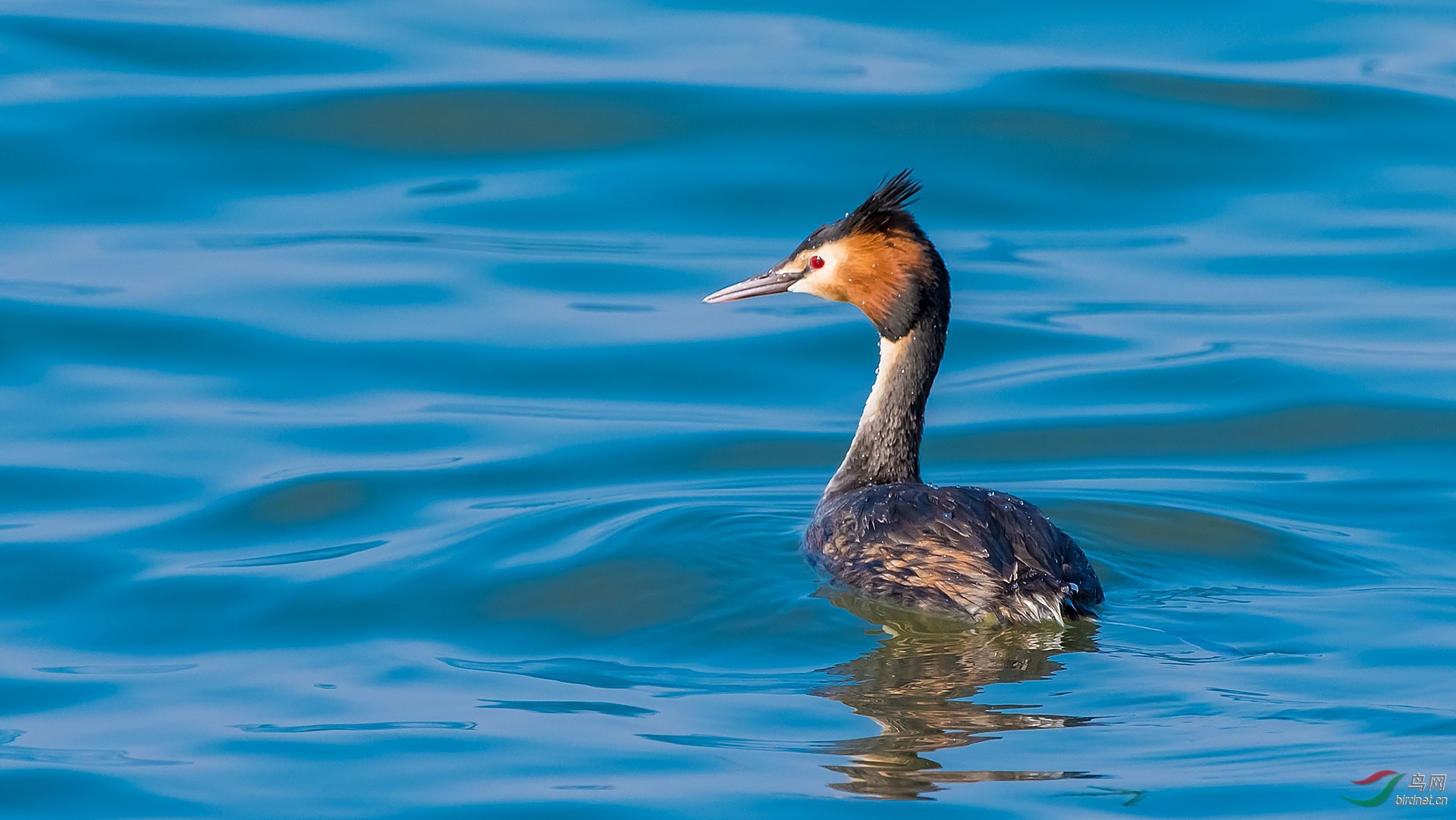 DSC_0657.jpg