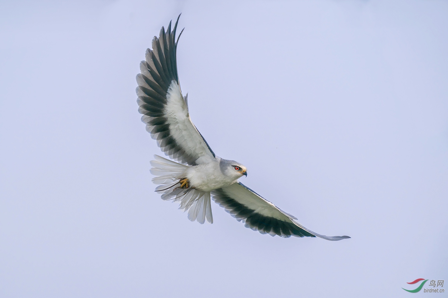 _DSC9235-.jpg
