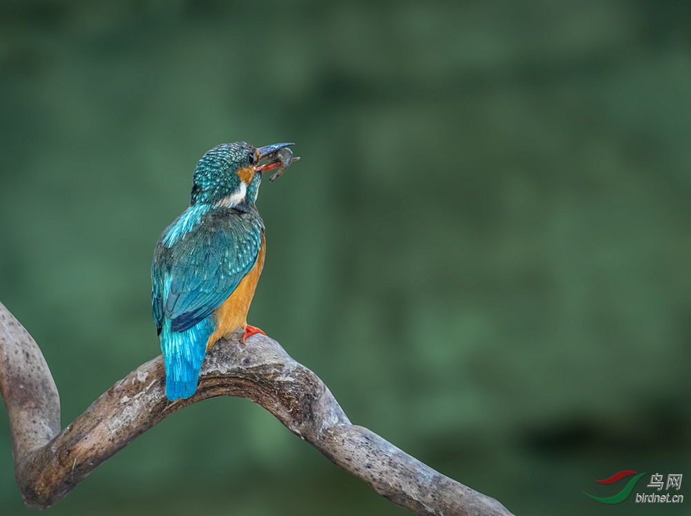 _DSC9212.jpg