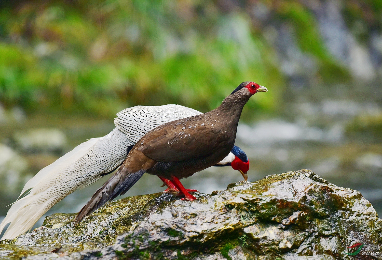 D8I_3918.jpg