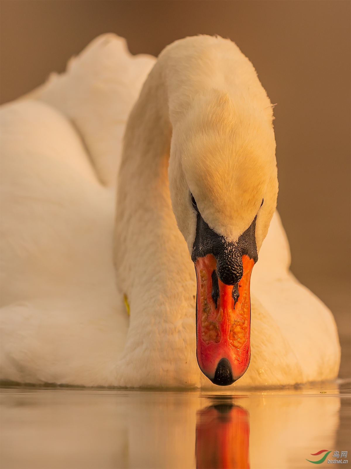 1DX_8524-3.jpg