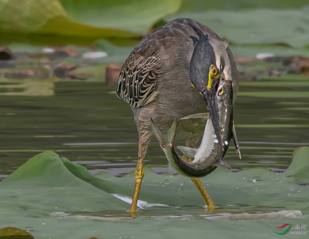 2020������������