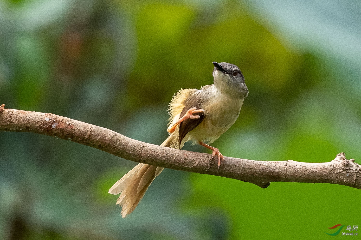 IMG_0296_DxO.jpg