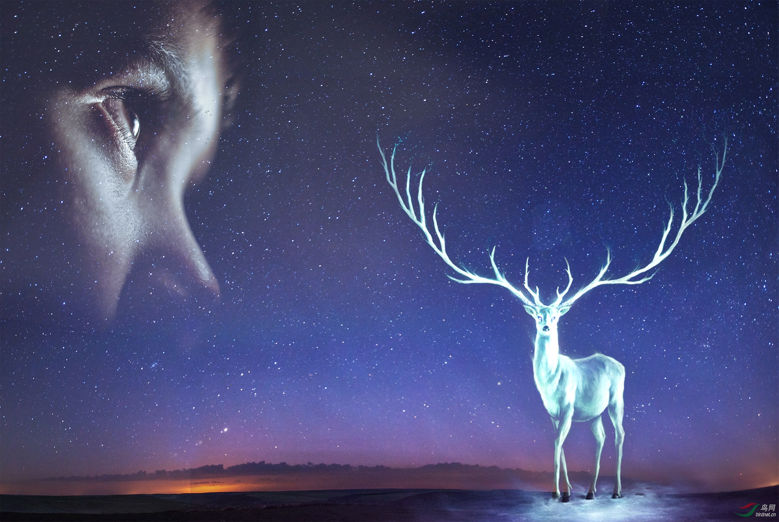 人与自然篇——灵魂之爱