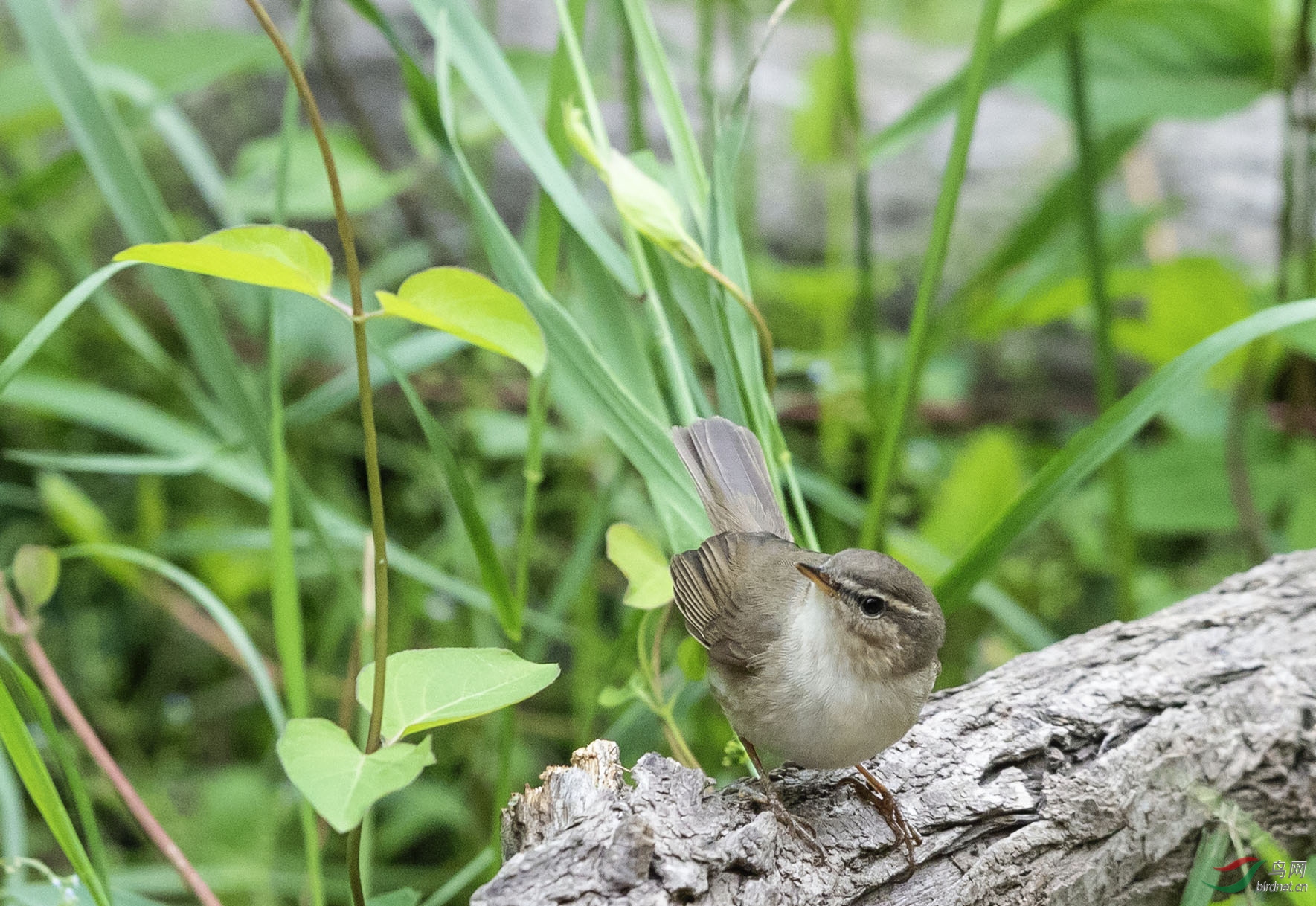 _K8I7478   01����ݺ.jpg