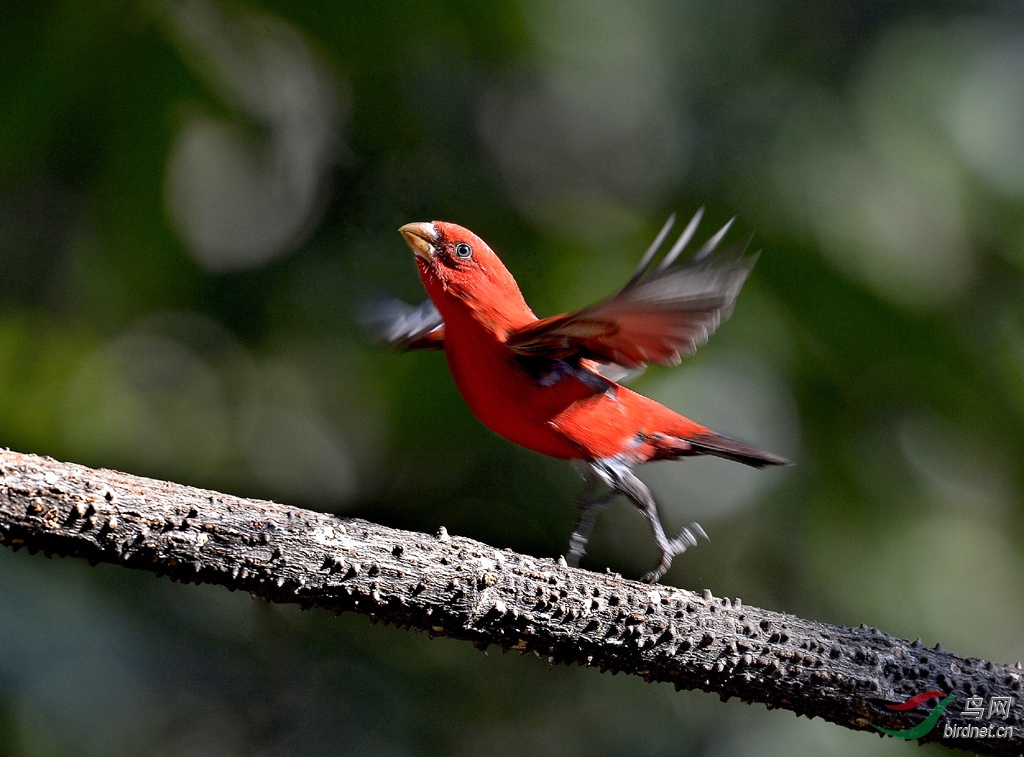 ���� _DSC7598 - ���� (2).JPG