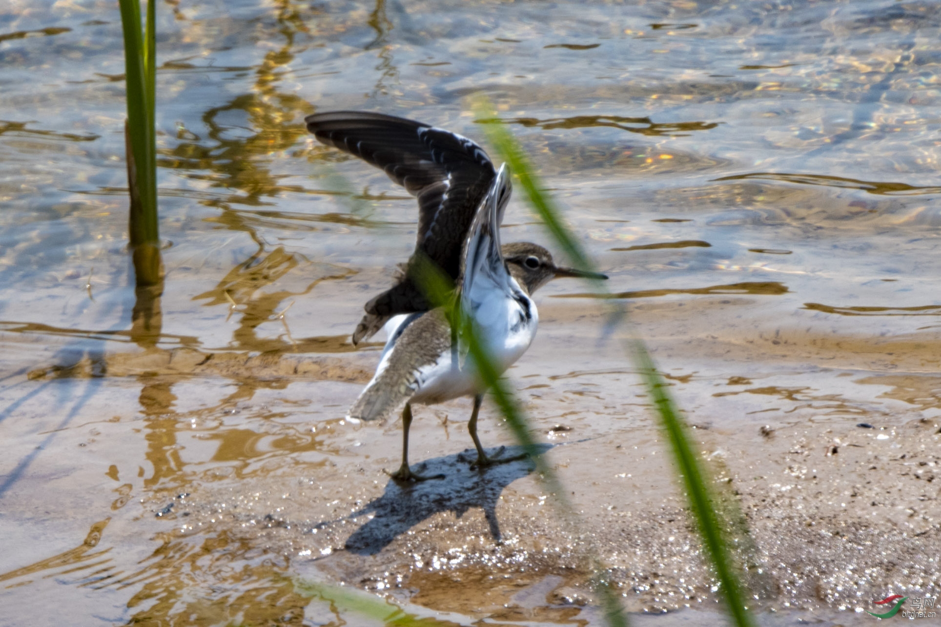 D50_0019.jpg