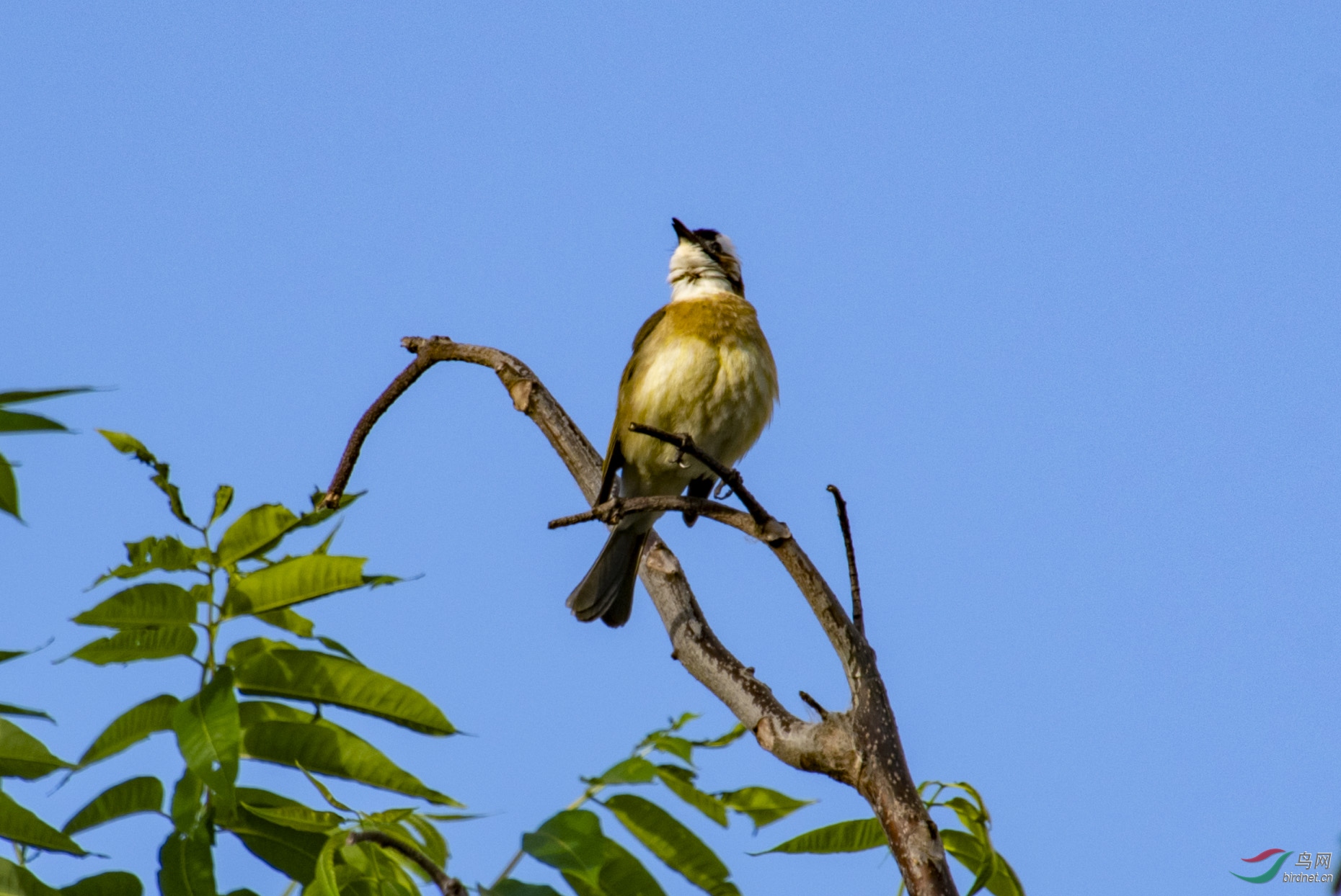 D50_2557.jpg