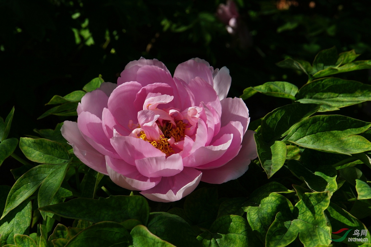 DSC09499.JPG