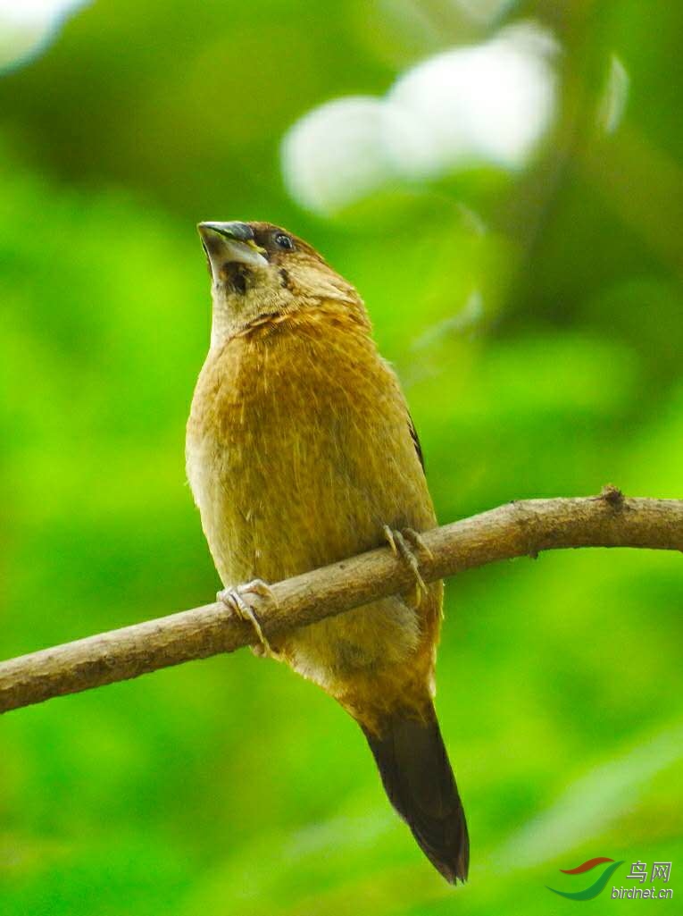 cbb5f6b4d32a52ba456e920c4463a8b.jpg