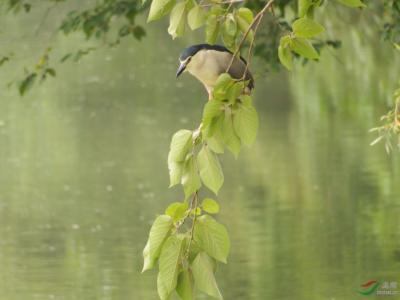 DSCF4559.jpg
