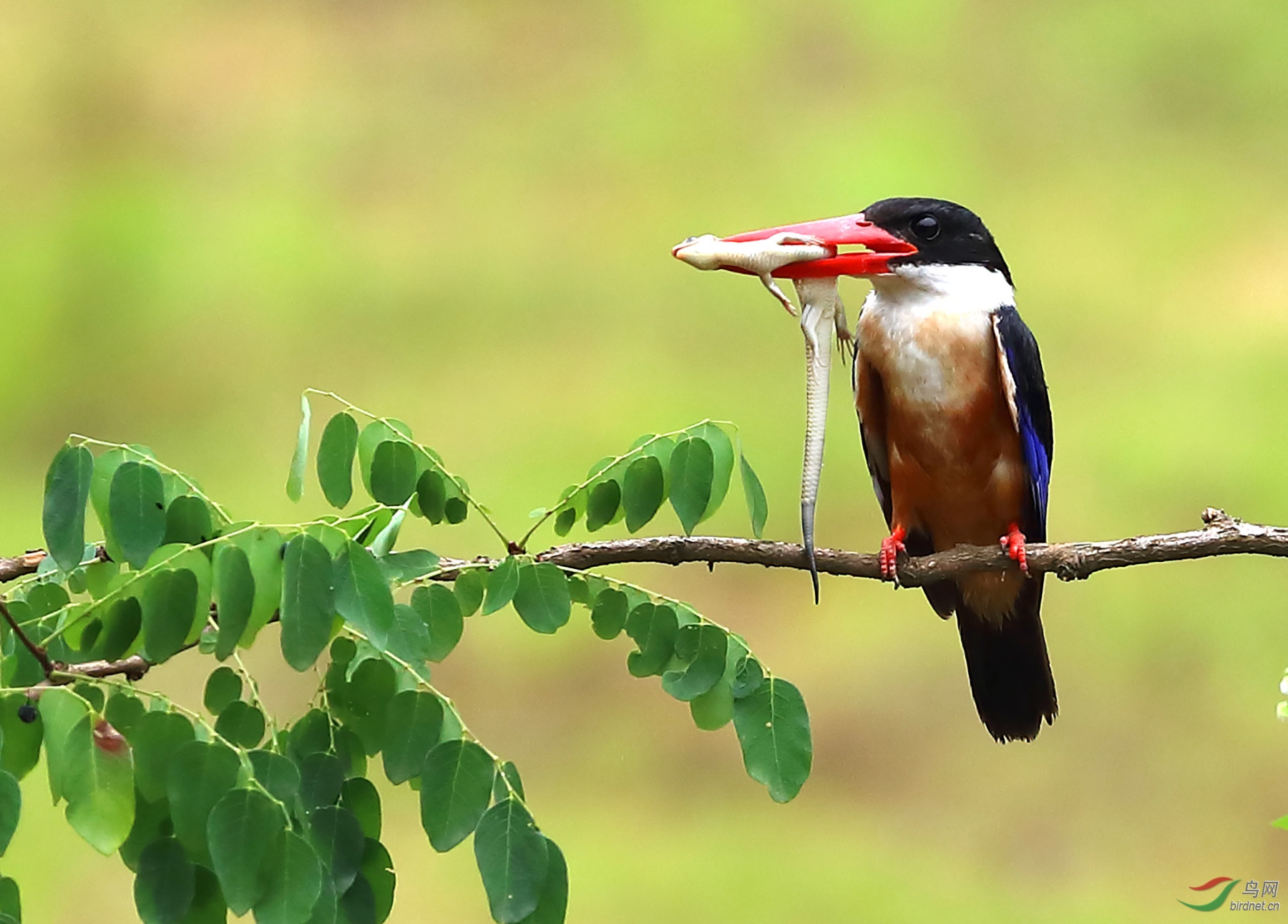 00001573 - ��������.jpg