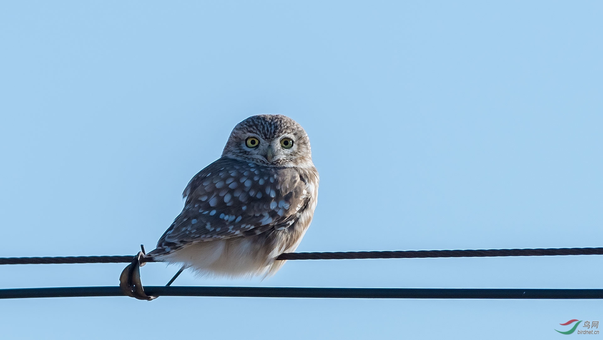 DSC_4391.jpg