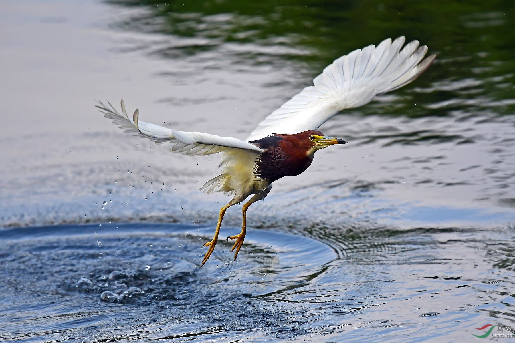 DSC_3288.jpg