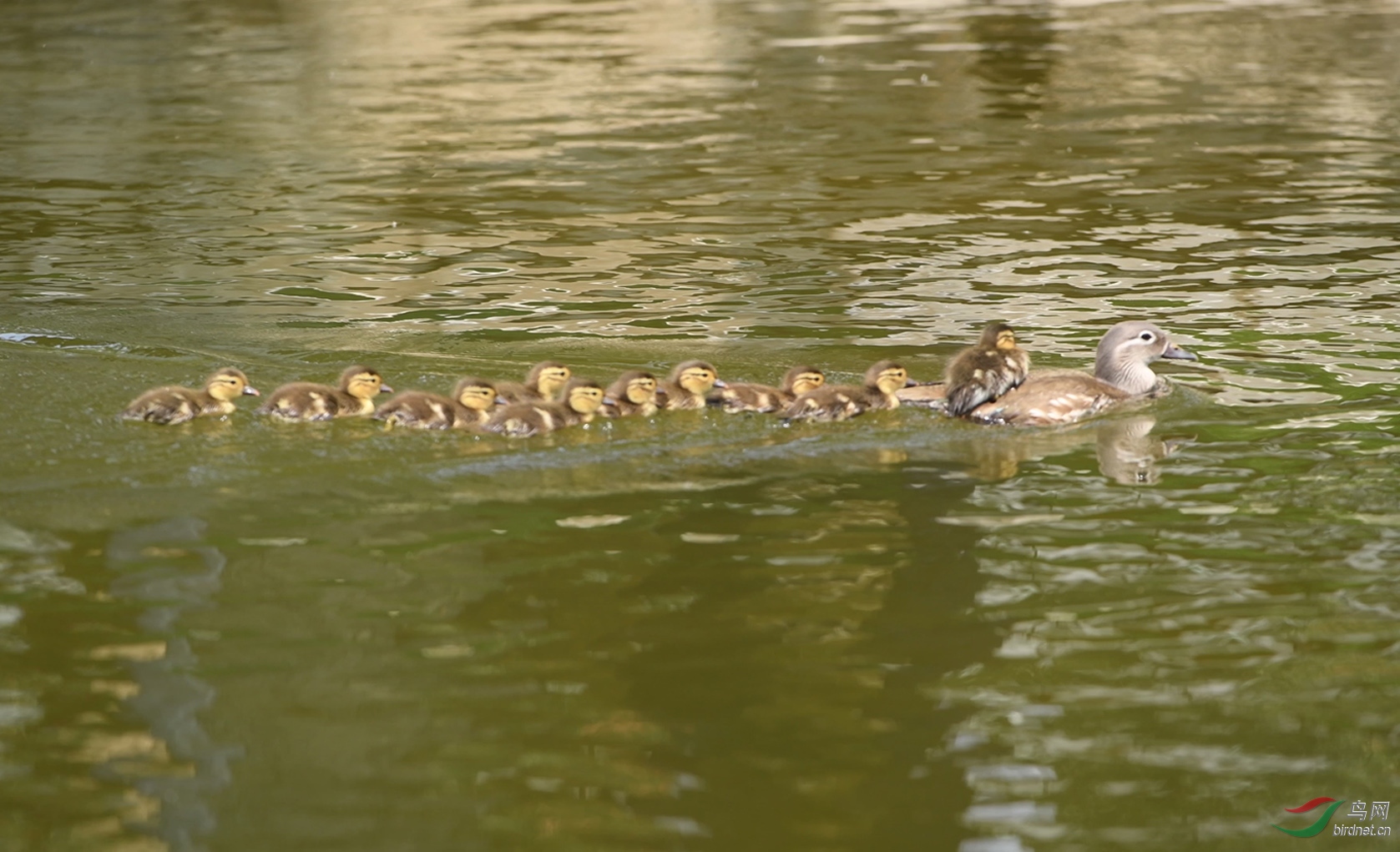 DSC_8088 00_00_00-00_00_10_Moment-01-1.jpg