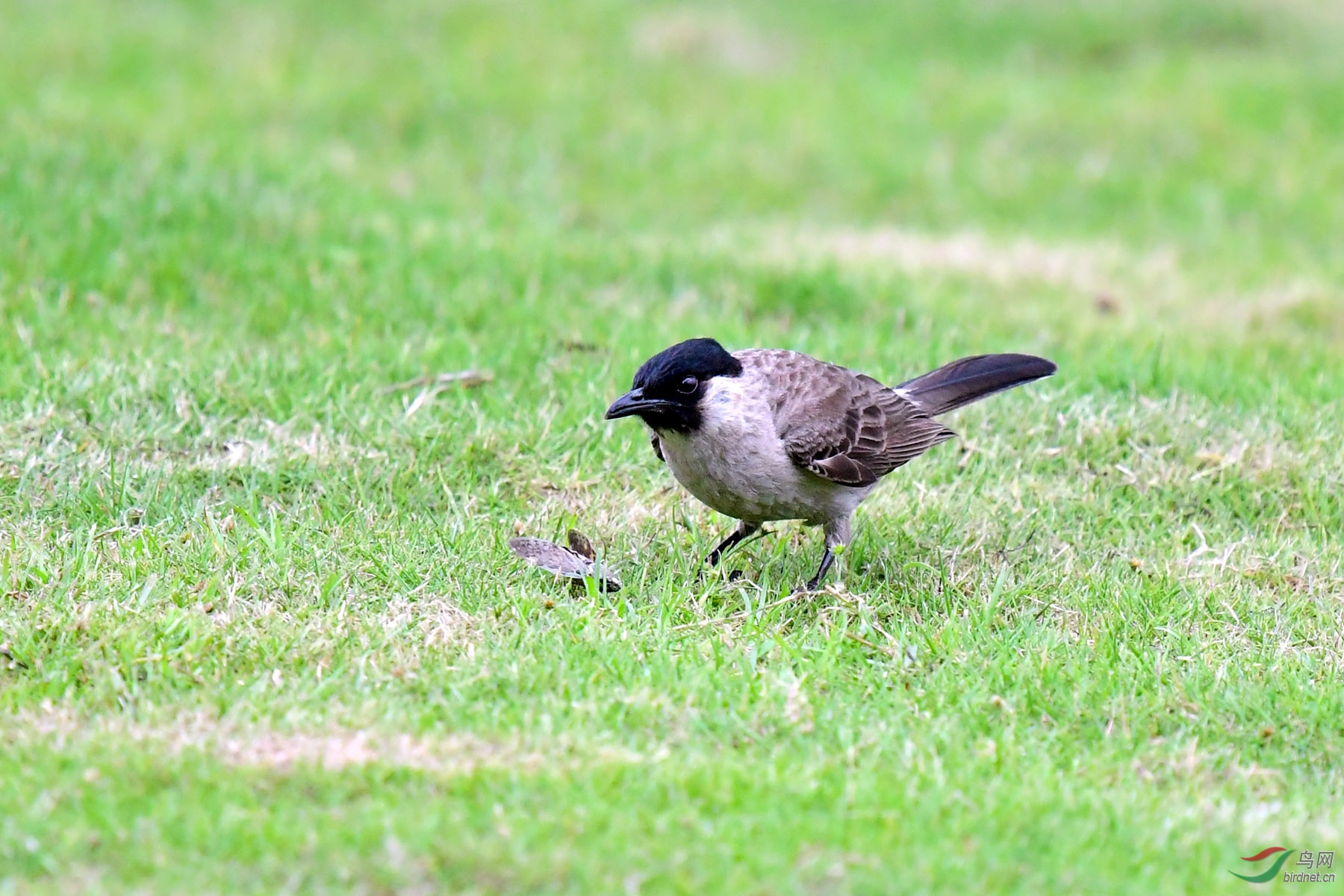DSC_2027.jpg
