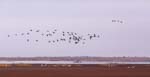 1 (200).JPG