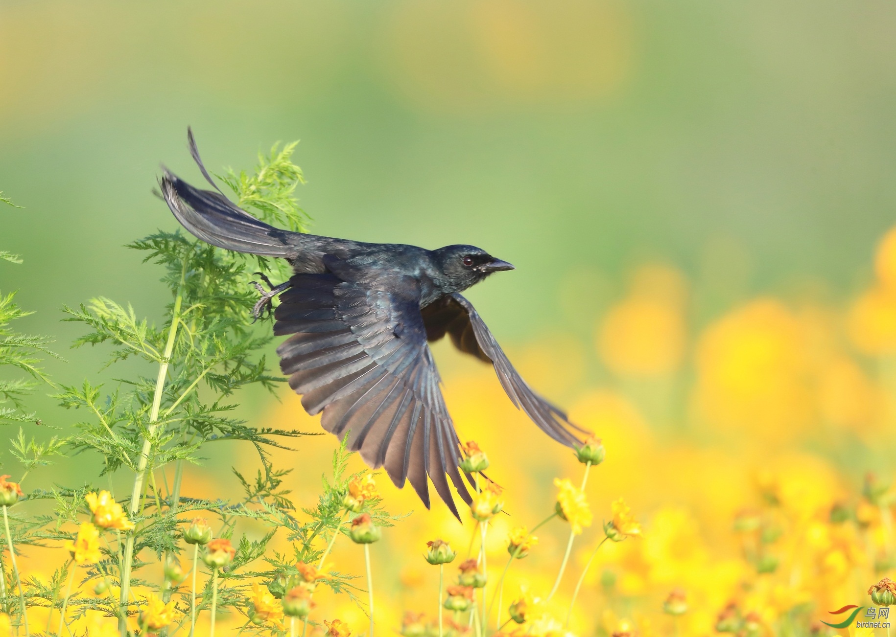 1 - ����.JPG